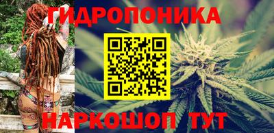 индика Боровичи