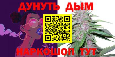 индика Боровичи