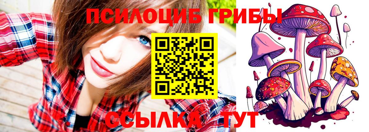 Псилоцибиновые грибы мицелий Назарово