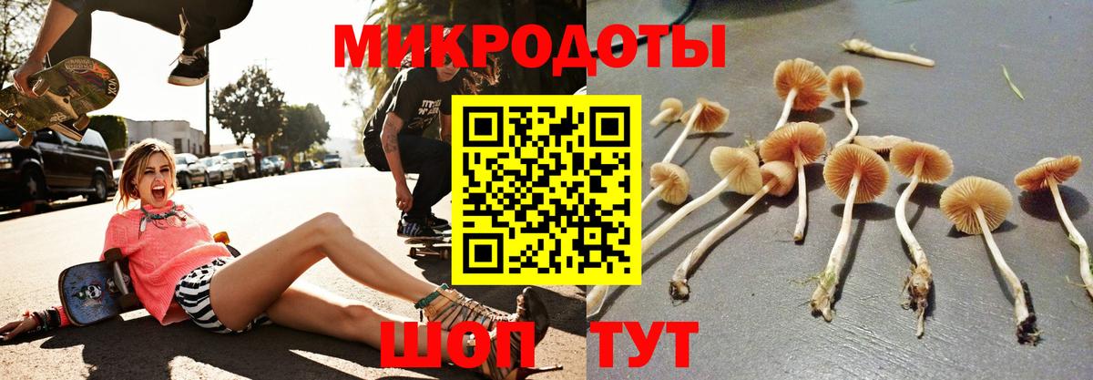 Назарово  Галлюциногенные грибы MAGIC MUSHROOMS  Вход с VPN 